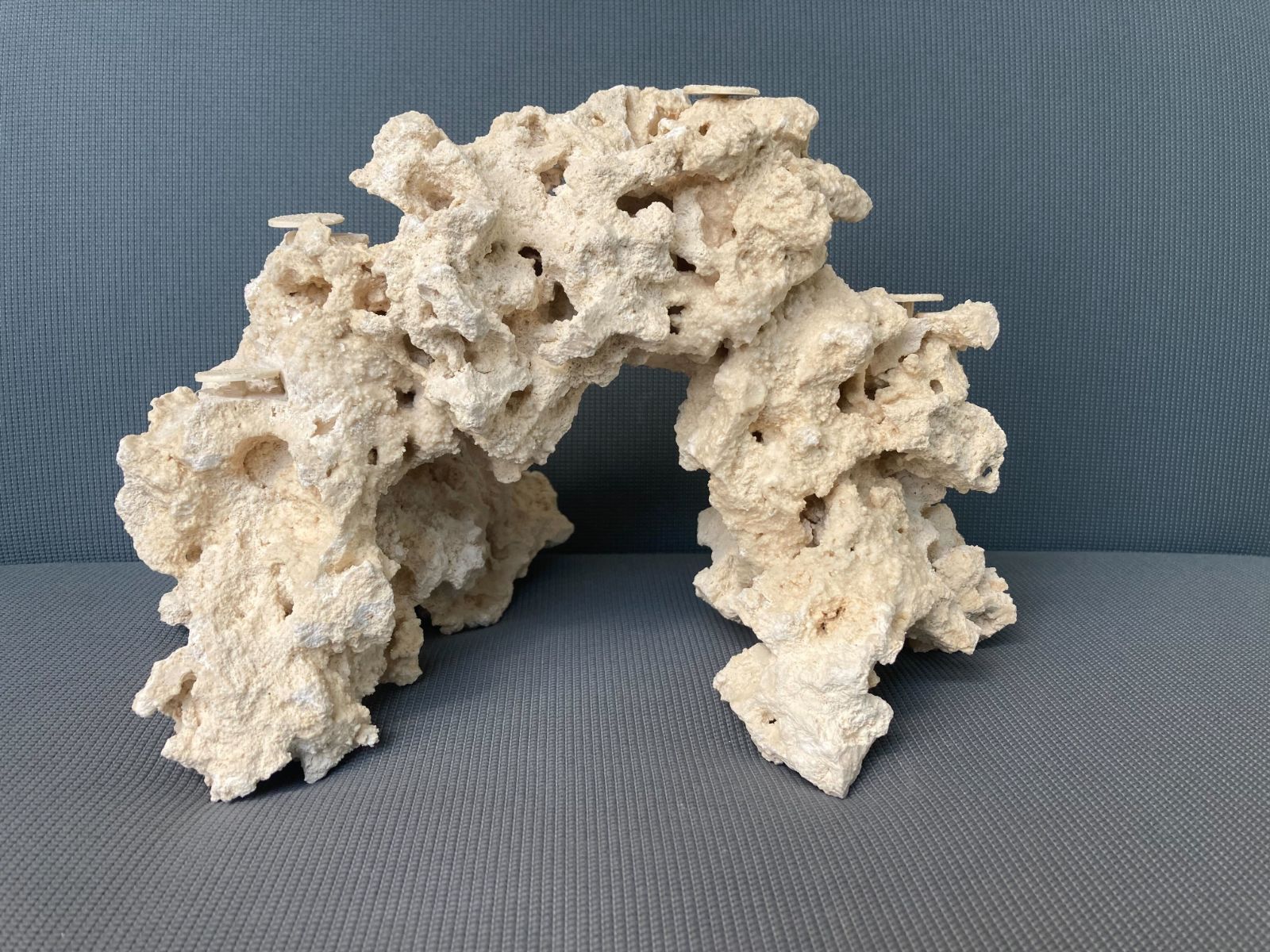 サンゴ水槽向け レイアウトストーン