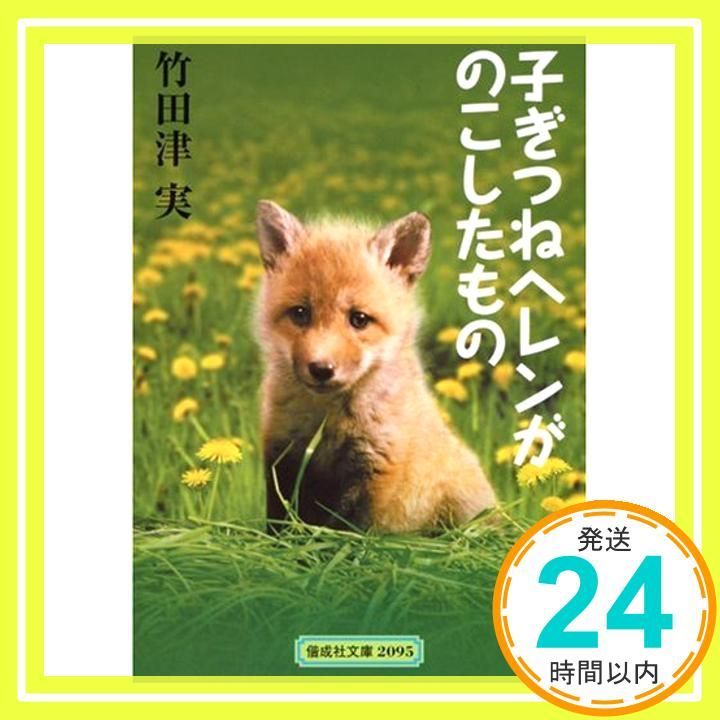 子ぎつねヘレンがのこしたもの 偕成社文庫 2095 Sep 01 2005 竹田津 実 岩本 久則_04