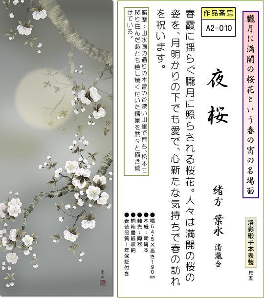 掛軸 掛け軸-夜桜/緒方葉水 花鳥掛軸送料無料(尺五 桐箱)春用 A2-010