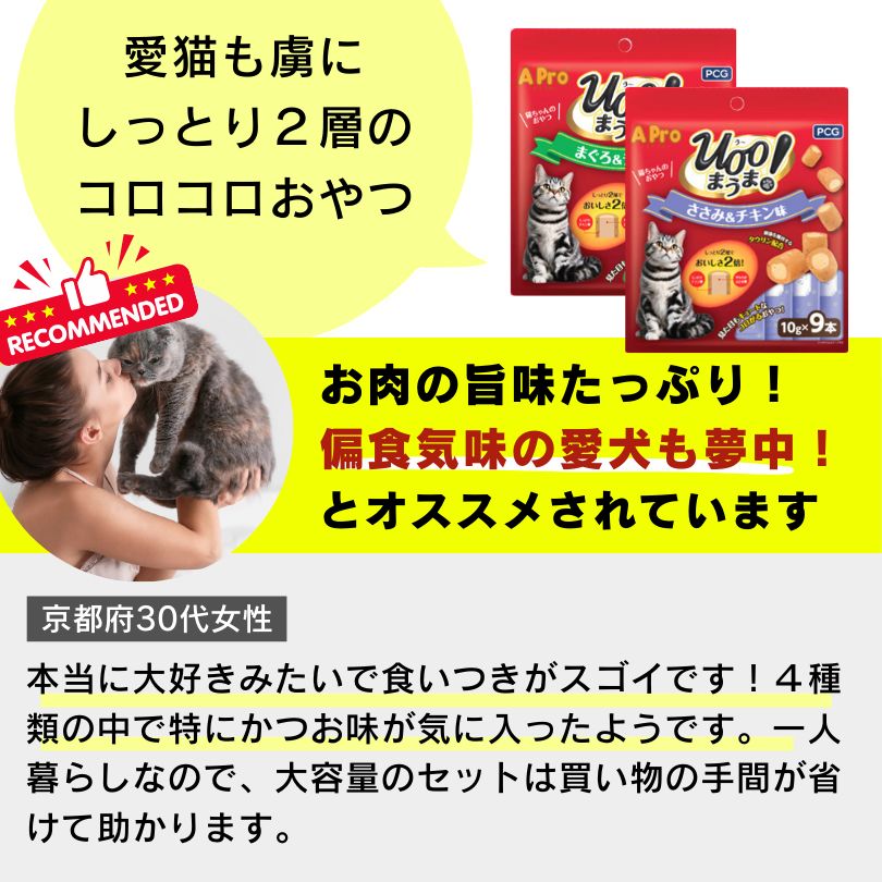 保護猫 子猫