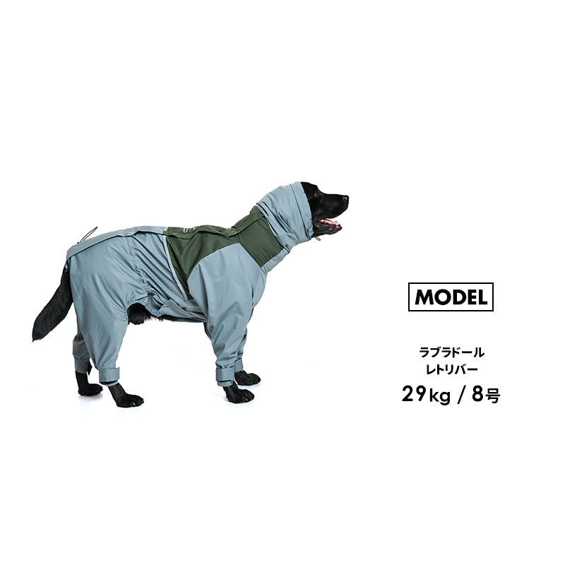 おしゃれ