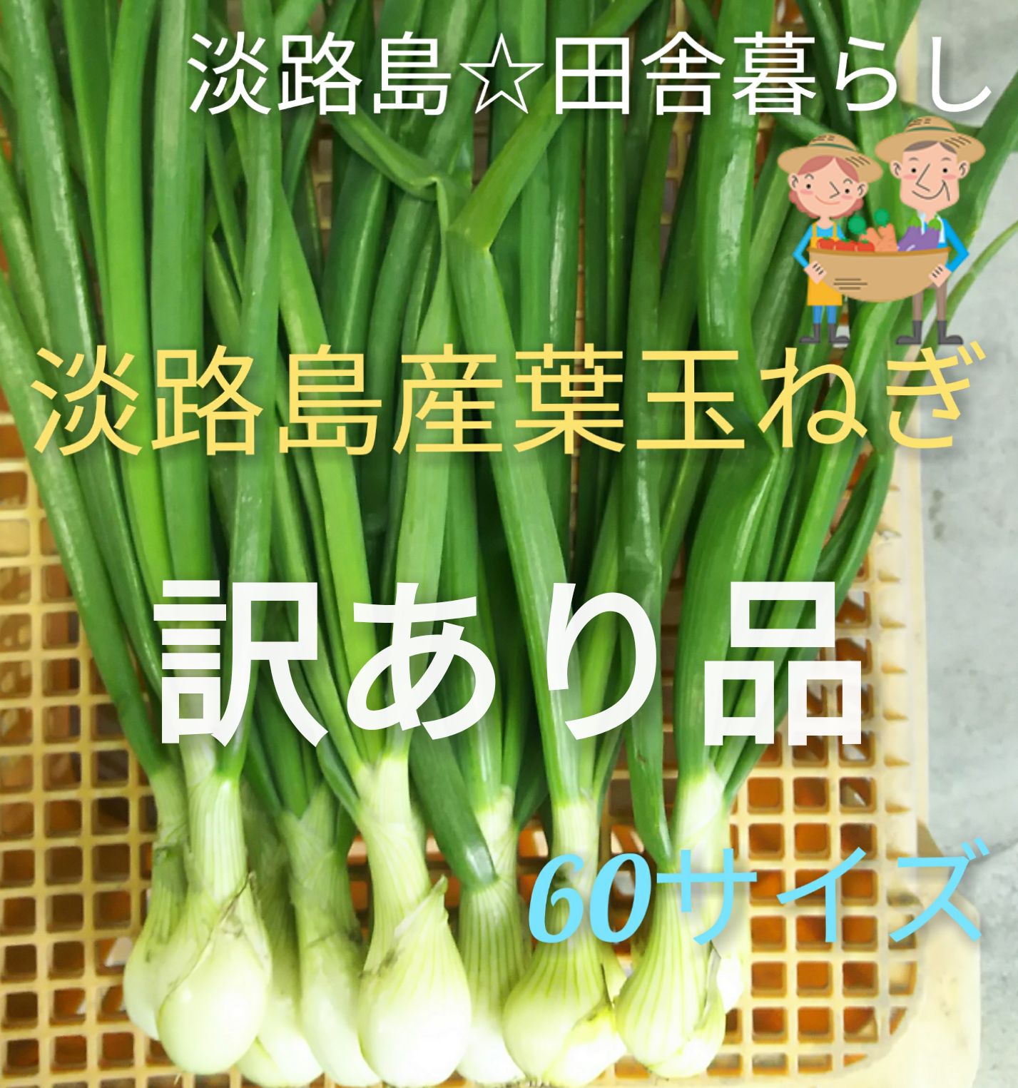 専用淡路島玉ねぎ - 野菜