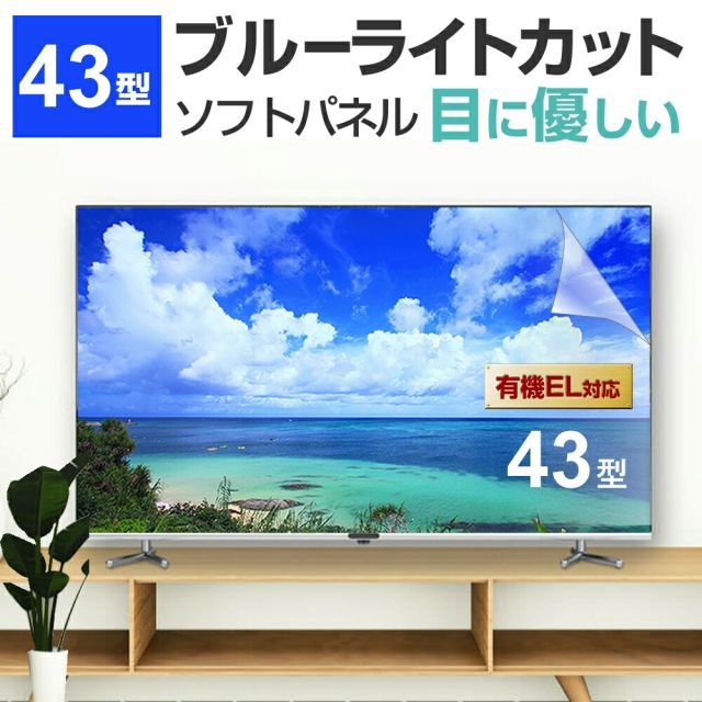 シャープ AQUOS 4K 4T-C43GN2 [43インチ] 液晶テレビ保護パネル 43型 