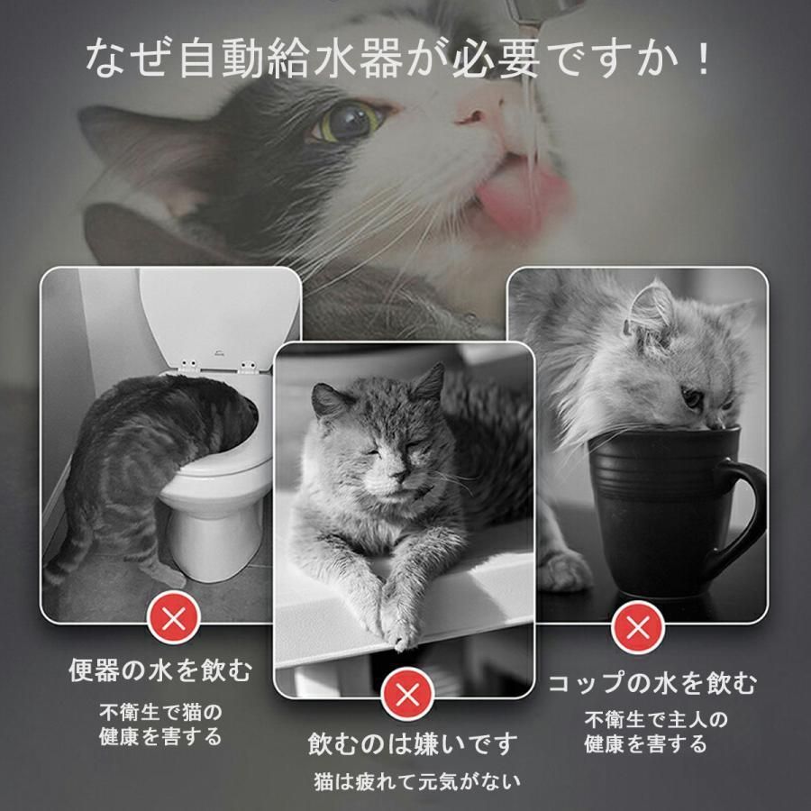 フィルタープレゼント