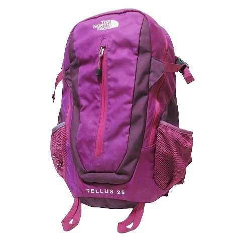ザノースフェイス THE NORTH FACE テルス25 TELLUS 25 バック