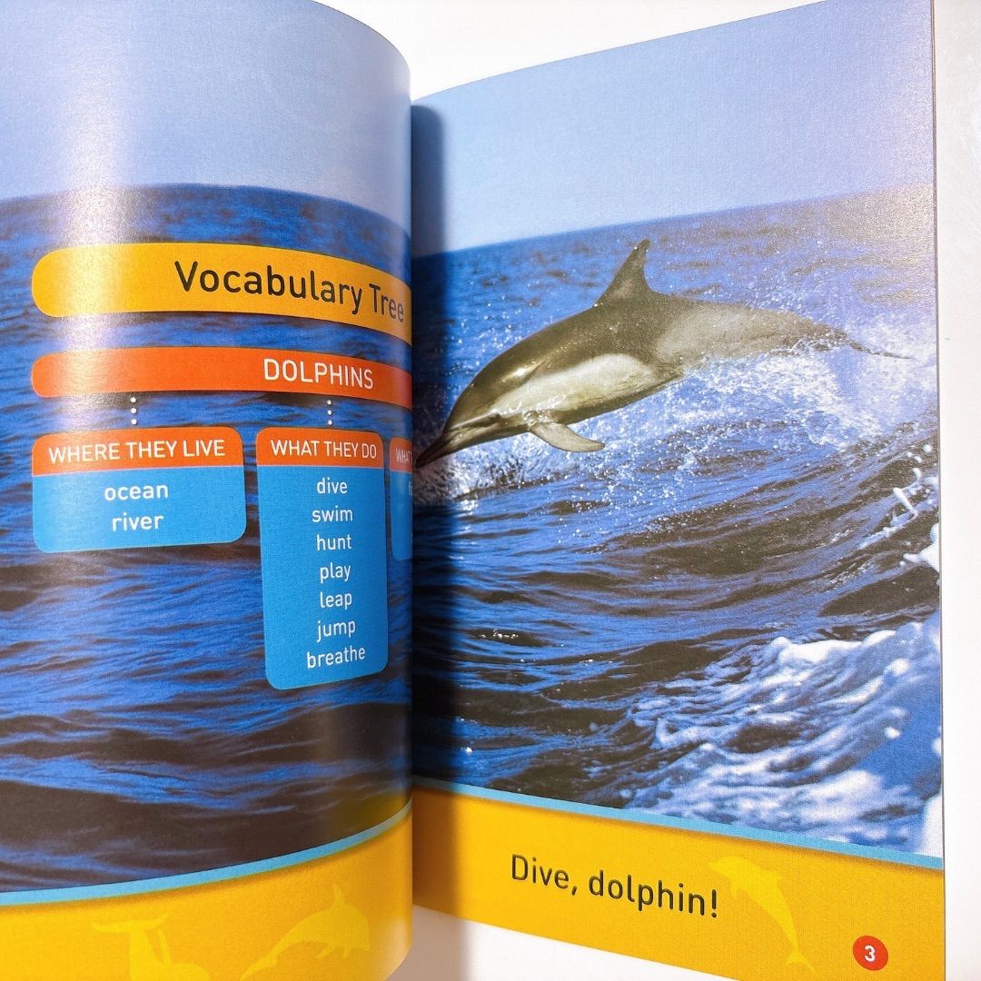National Geographic Kids Pre-Reader 30冊 mp3音源付き 英語絵本