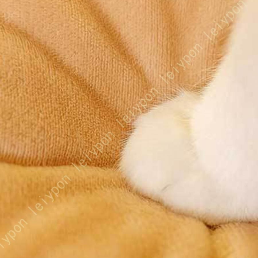 かわいい ペット