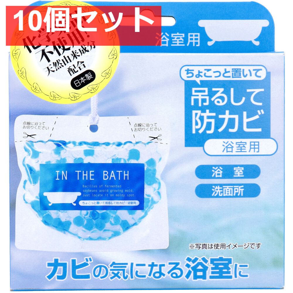 ちょこっと置いて吊るして防カビ 浴室用 160g 10個セット まとめ売り