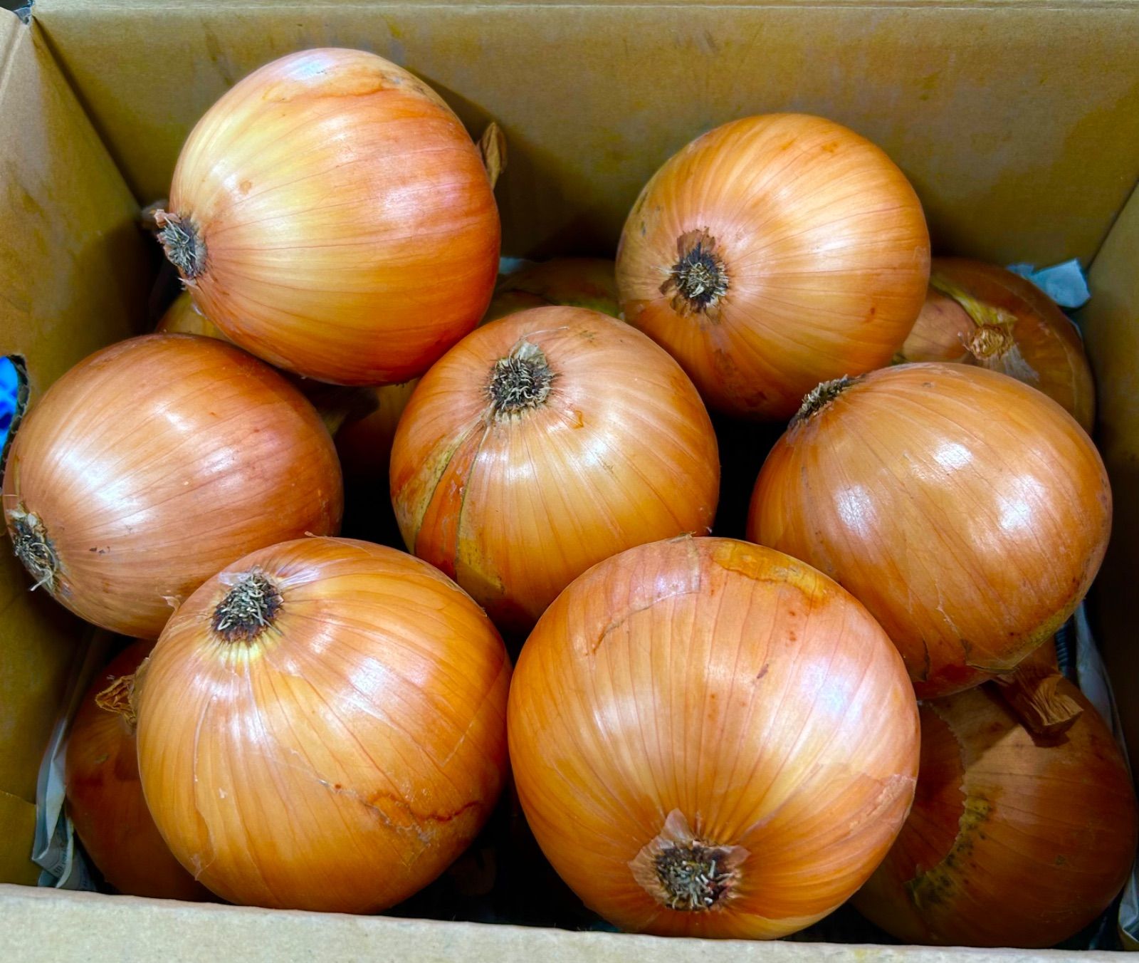 淡路島産玉ねぎ 完熟玉ねぎ ターザン 秀品 3kg 減農薬 有機肥料