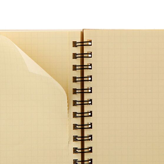 まとめ デルフォニックス ロルバーンメモ 方眼 M ローズ 500307-524 ×20セット