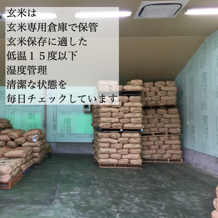 広島県産 久井あきろまん 玄米30kg 令和7年産 つきたて米 - メルカリ