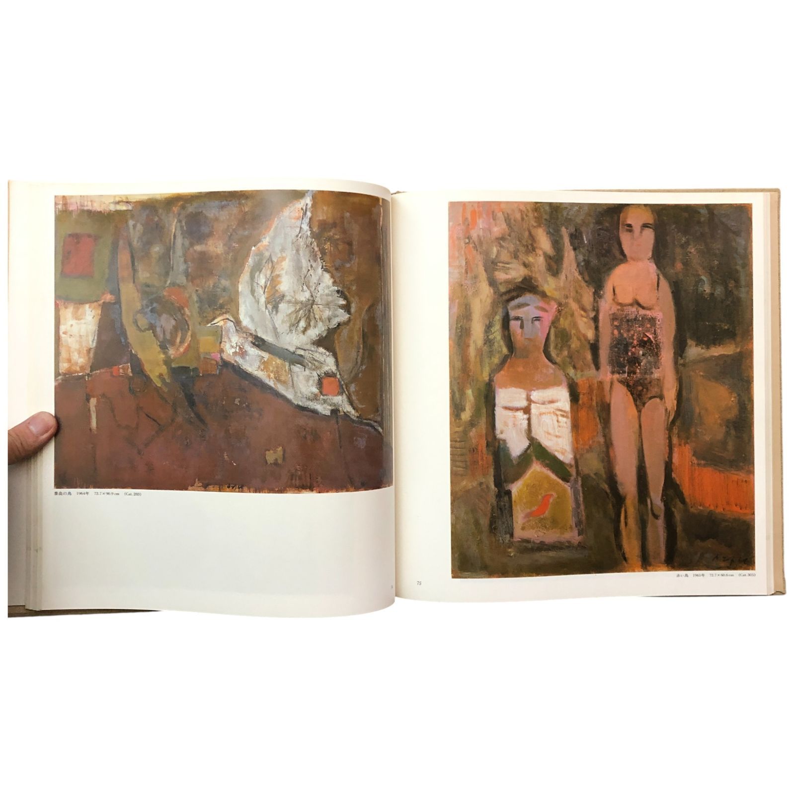 脇田和、【見えなかったハレー彗星】、希少な大判額装用画集より、美品、日本人画家 脇田和、【見えなかったハレー彗星】、希少な大判額装用画集より