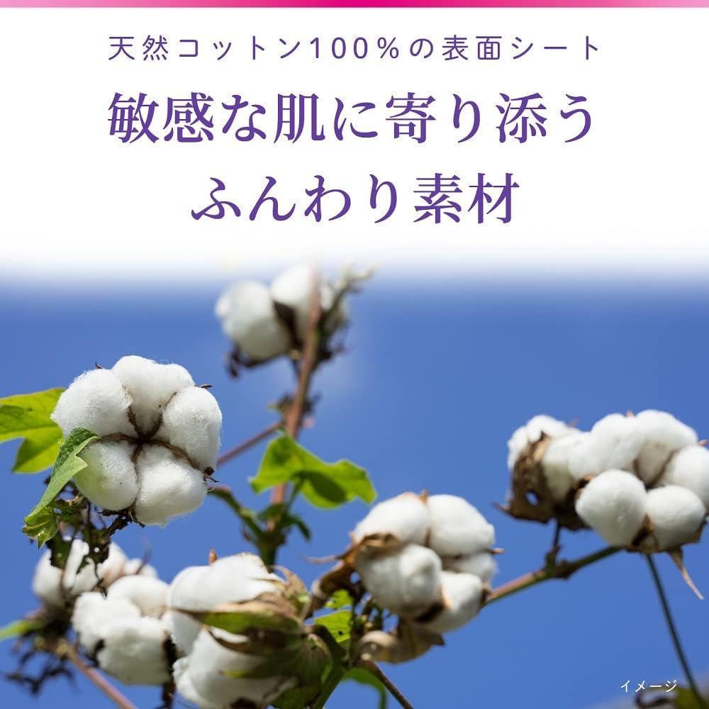 【まとめ買い】サラサーティ サラリエ おりものシート Tバックショーツ用 コットン100％ 20コ入×4個