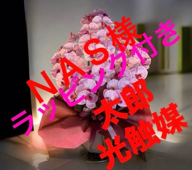 2024 光触媒 人工観葉植物 ウォールグリーン フェイクグリーン 胡蝶蘭