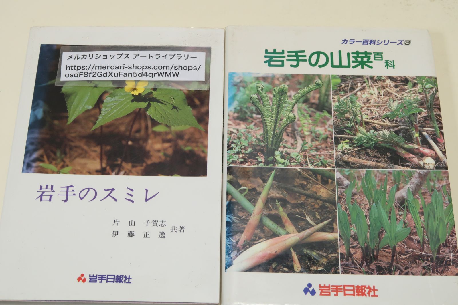 【中古】 岩手の山菜百科/岩手日報社/薊舎 岩手の山菜百科 (カラー百科シリーズ) | 薊舎, 岩手日報社企画