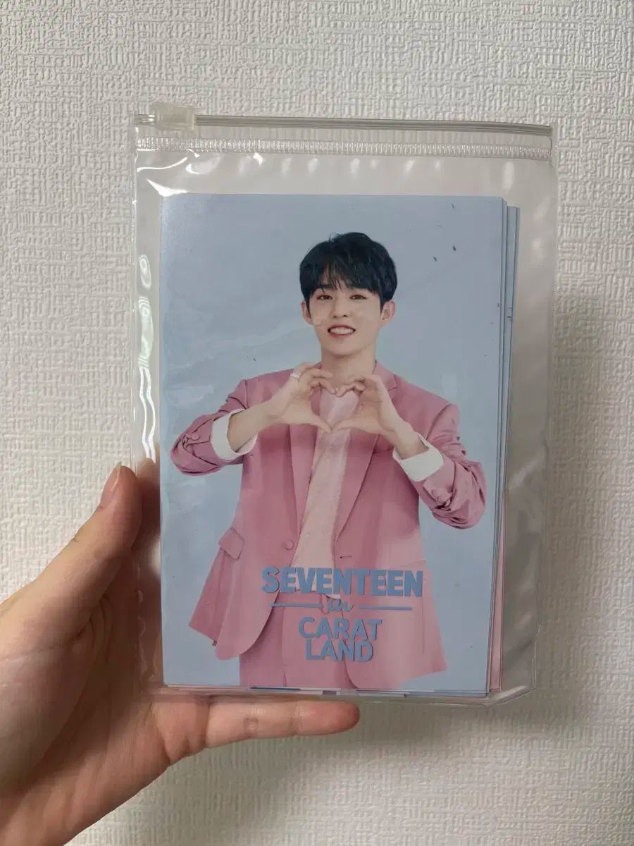 SEVENTEEN(セブンティーン・セブチ) 2019 CARAT LAND ケレン MD