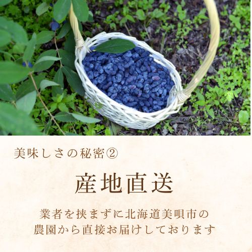 （2025年度産）苫小牧産ハスカップ　冷凍　3キロ 送料着払い　クール便 北海道産冷凍ハスカップ500g（420004）【送料無料】 | 【 公式