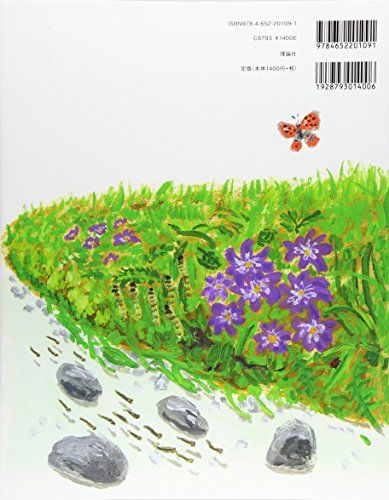 中野真典さんの絵　銀杏 中古絵本専門のオンライン古本屋 コトノハブックス
