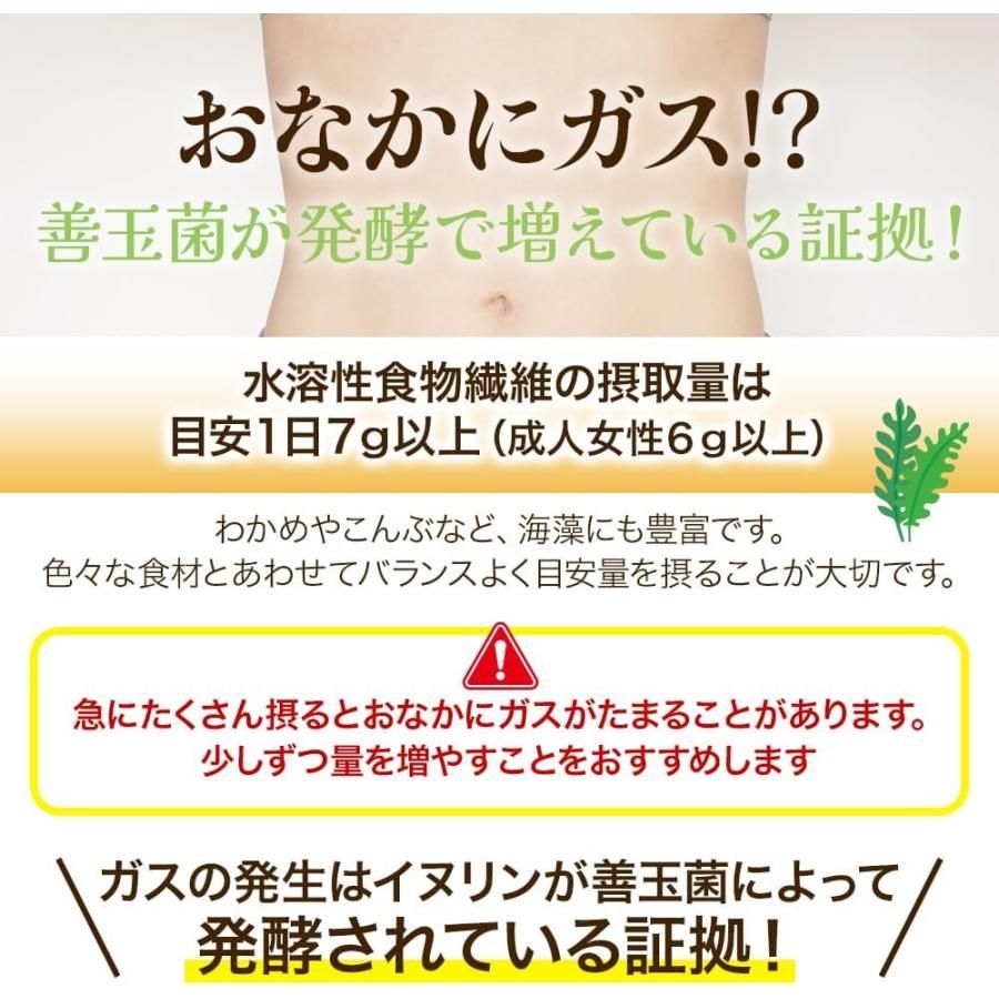 水溶性食物繊維 イヌリン