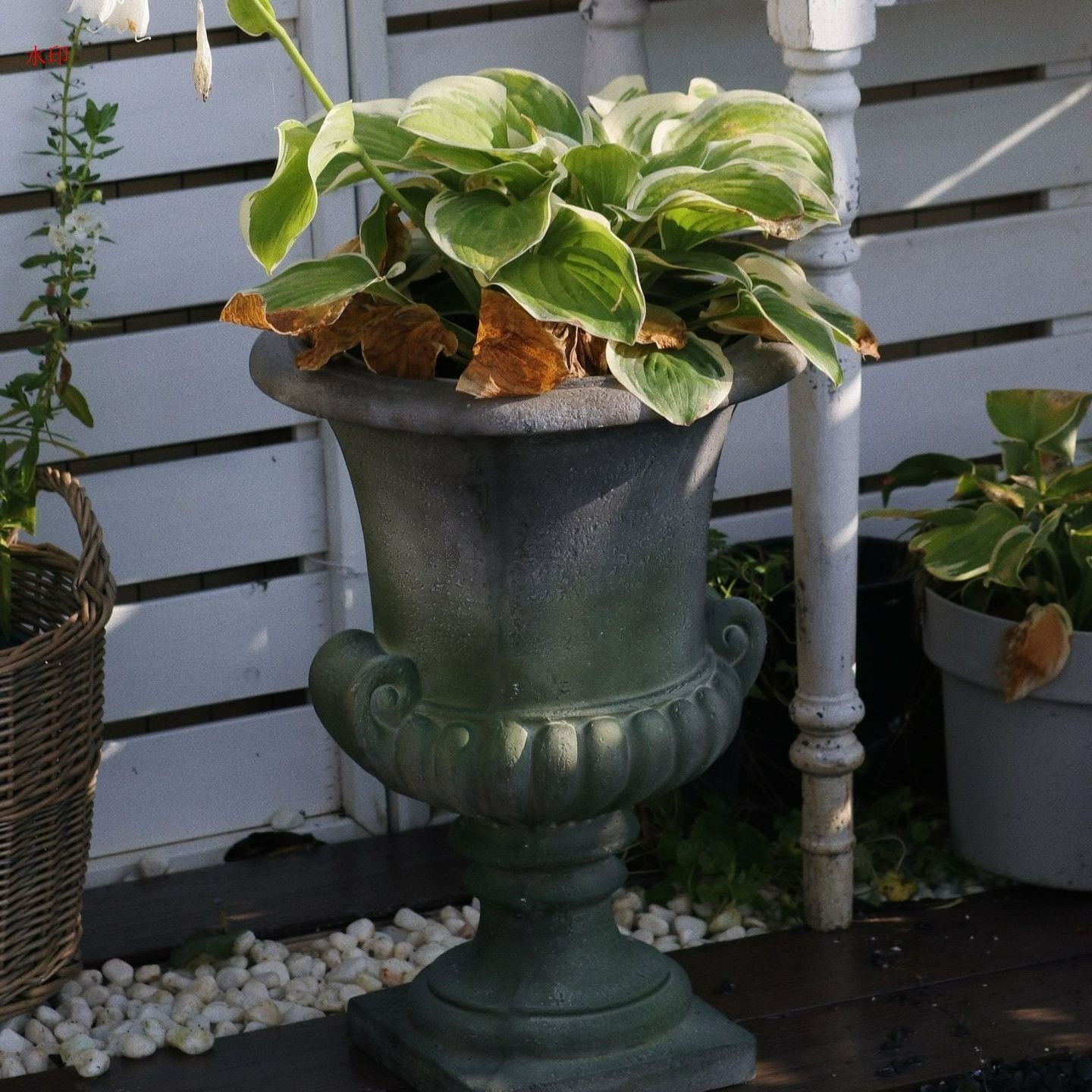 ホワイト グリーン