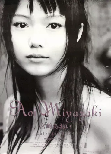 宮崎あおい カレンダーセット まとめ売り 2009 2010 2011 宮崎あおい