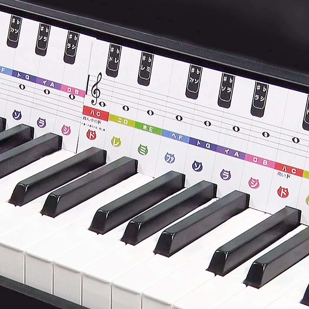 迅速発送】鍵盤カード 4オクターブ 29鍵盤 ピアノ/ト音 ヘ音