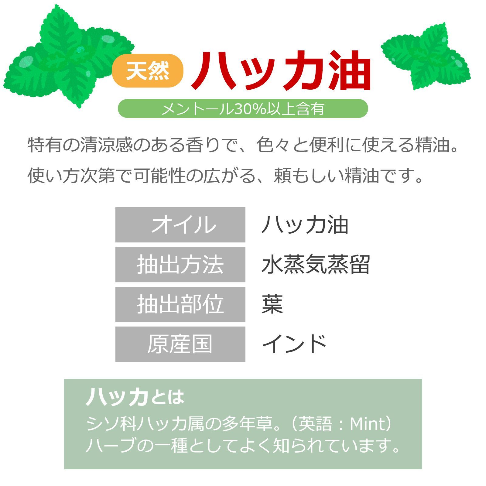 1L ハッカオイル