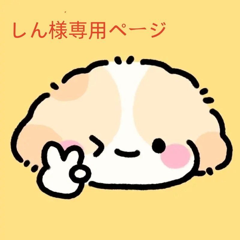 しん様専用 シン様専用ページ しん 様 専用ページ しん様専用ページ