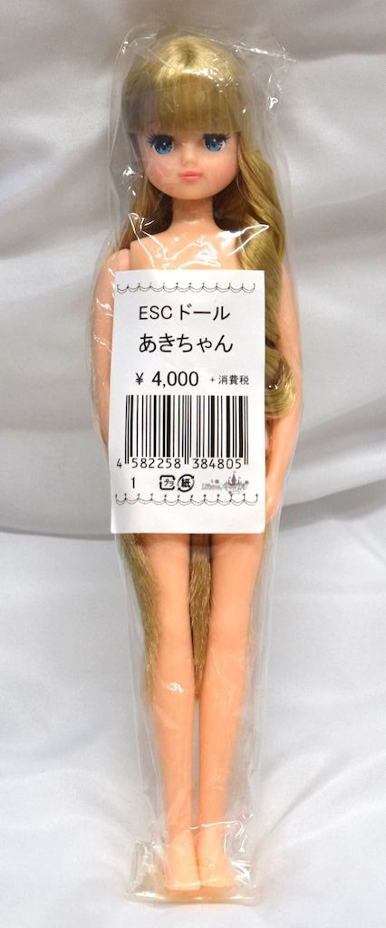 リカちゃんキャッスル　dx あきちゃん　リトルファクトリー　リカちゃん人形 リトルファクトリー リカちゃんキャッスル あきちゃん ESC