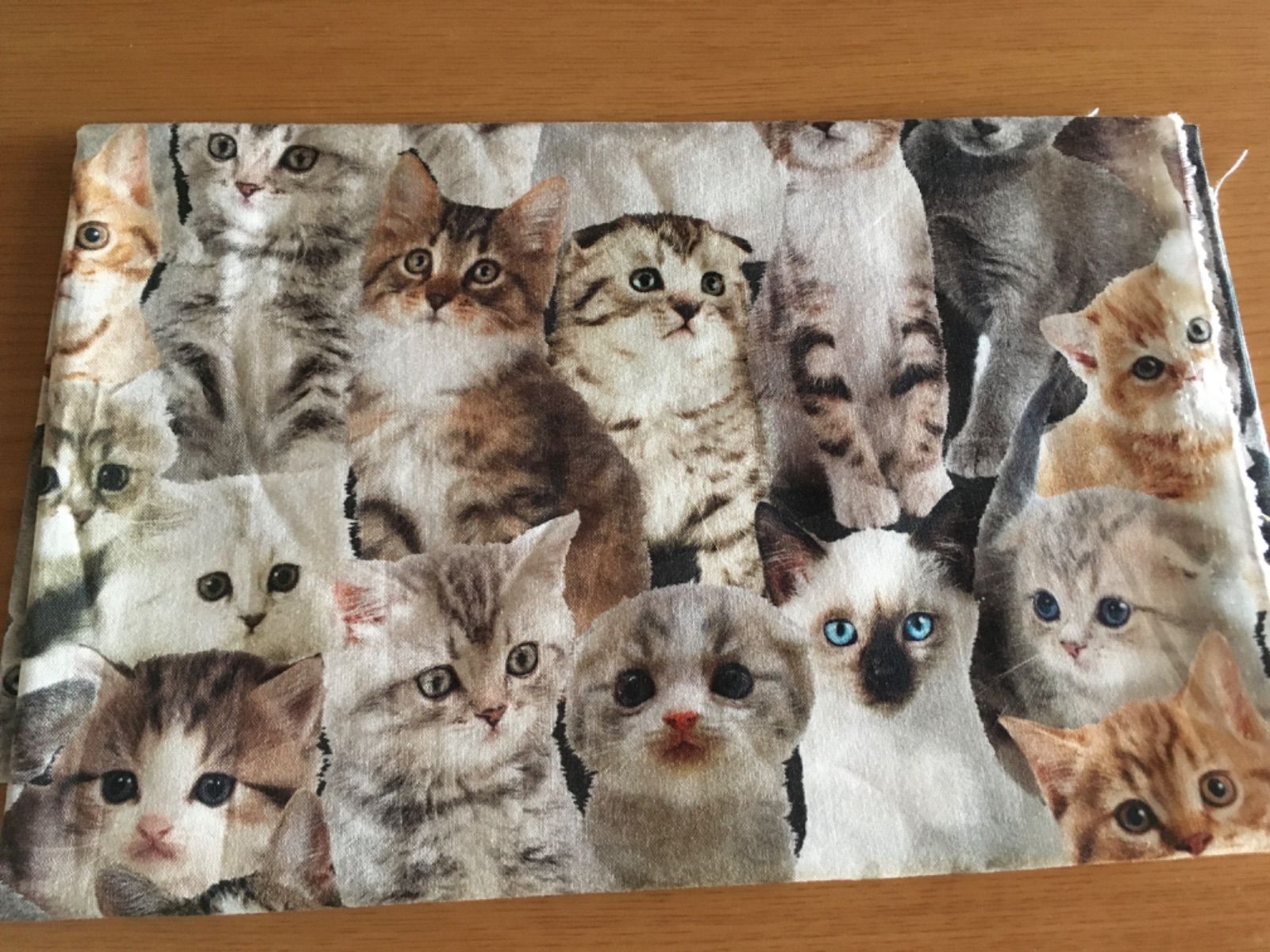 約100 ✖️50 かわいい子猫たくさん♡猫だらけ 転写リアルキャット