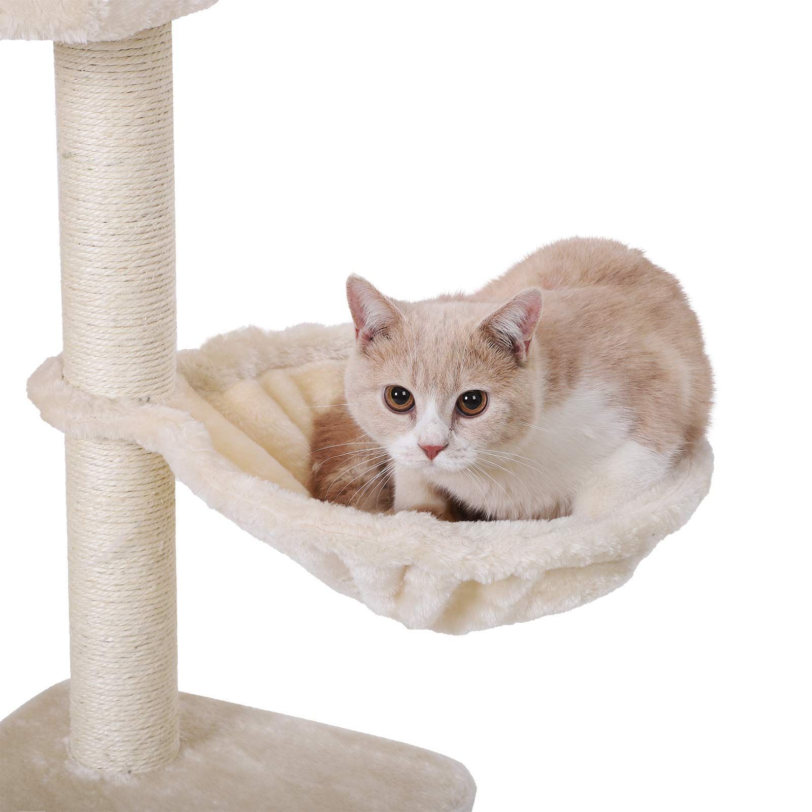 大型猫用