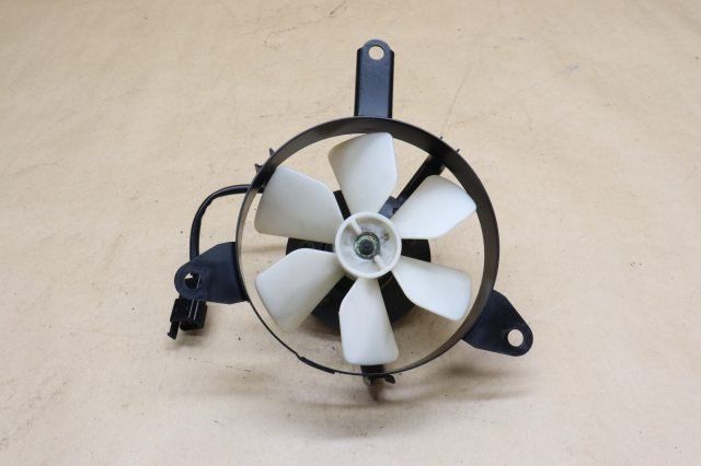 Caithness エアーパターン 駿馬 ペーパーウエイト 硝子細工 Caithness エアーパターン 駿馬 ペーパーウエイト 硝子細工 - メルカリ