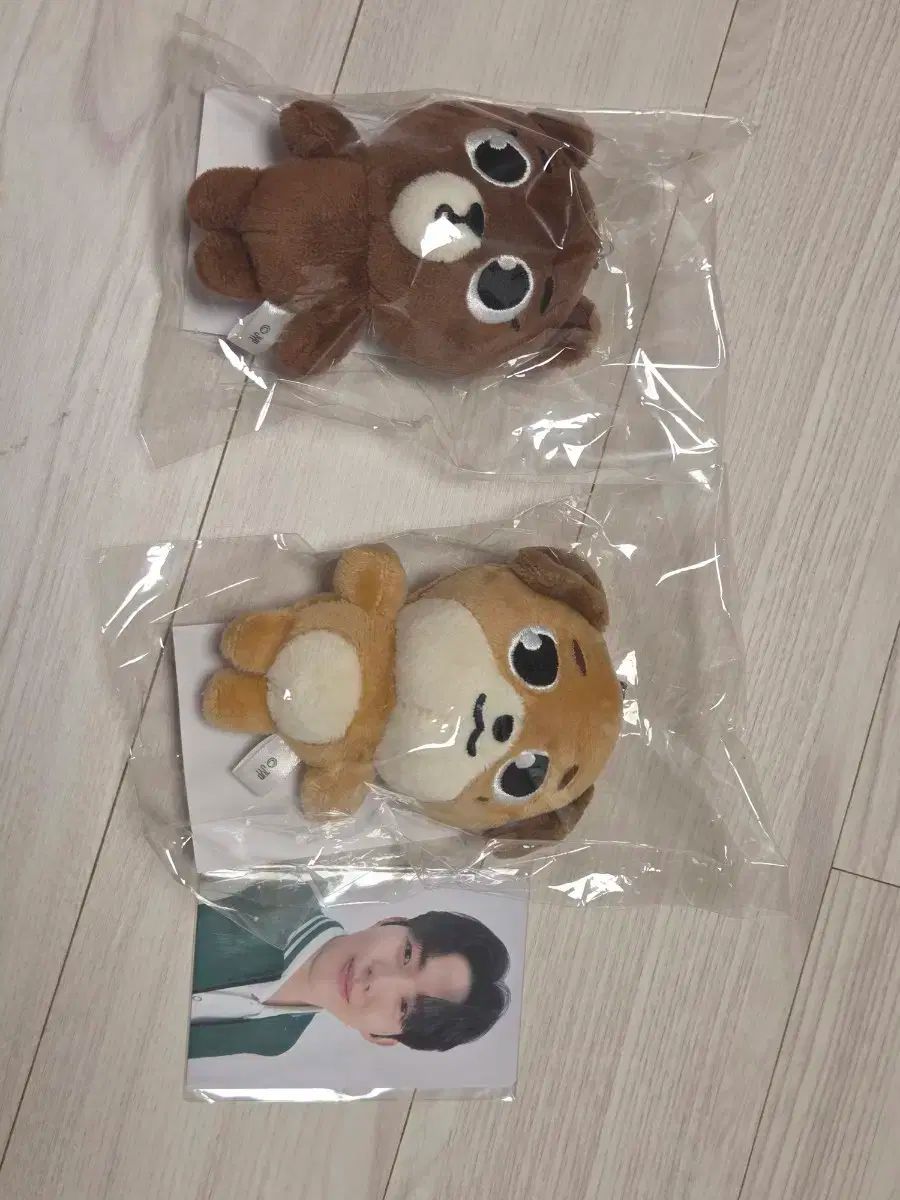 もものこページ 法政大学応援団 公式 第五十一回オレンジの集い DVD