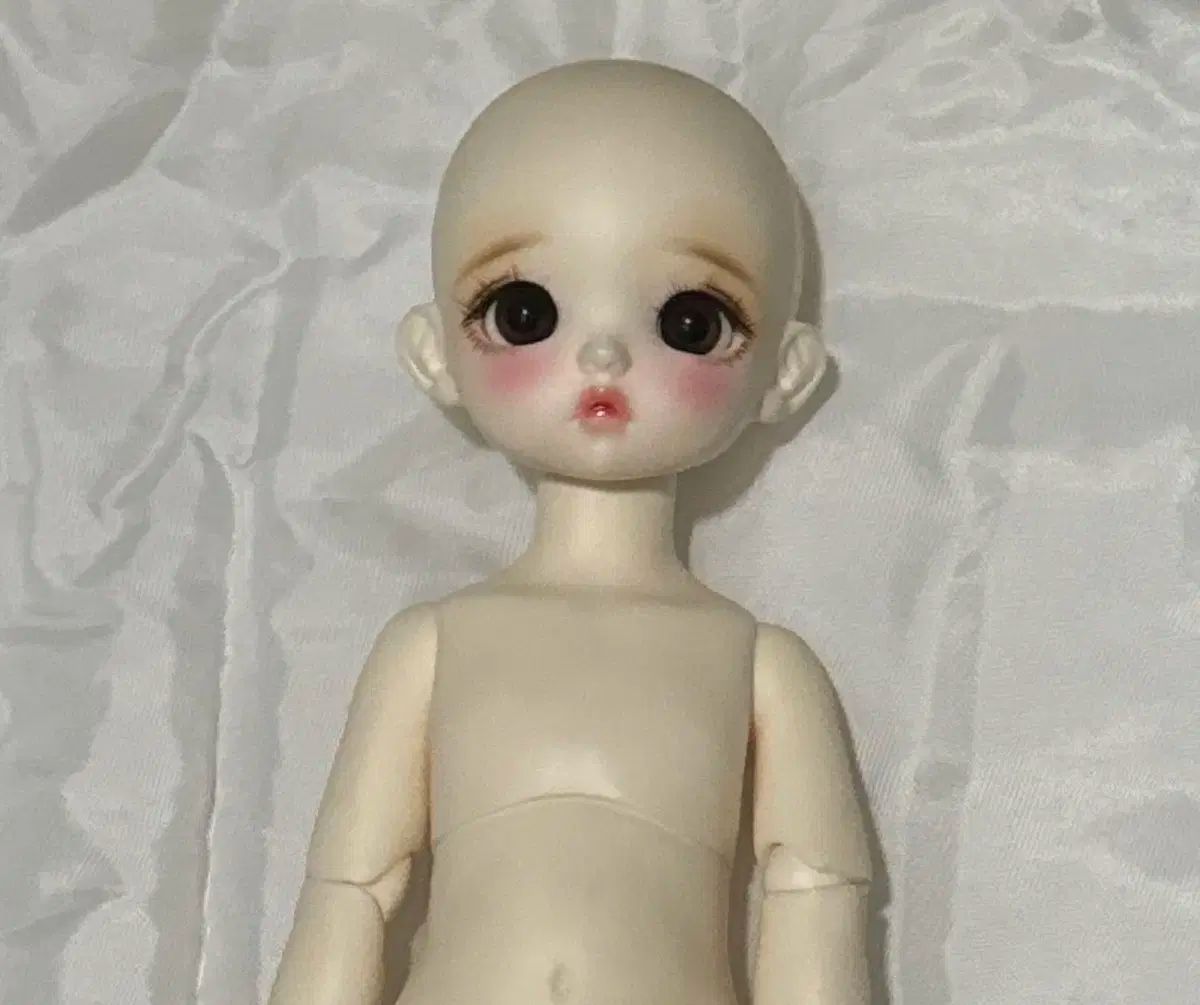 浅野陽 あさのあきら 鉢 皿 5枚 桐箱 Yahoo!オークション -「浅野