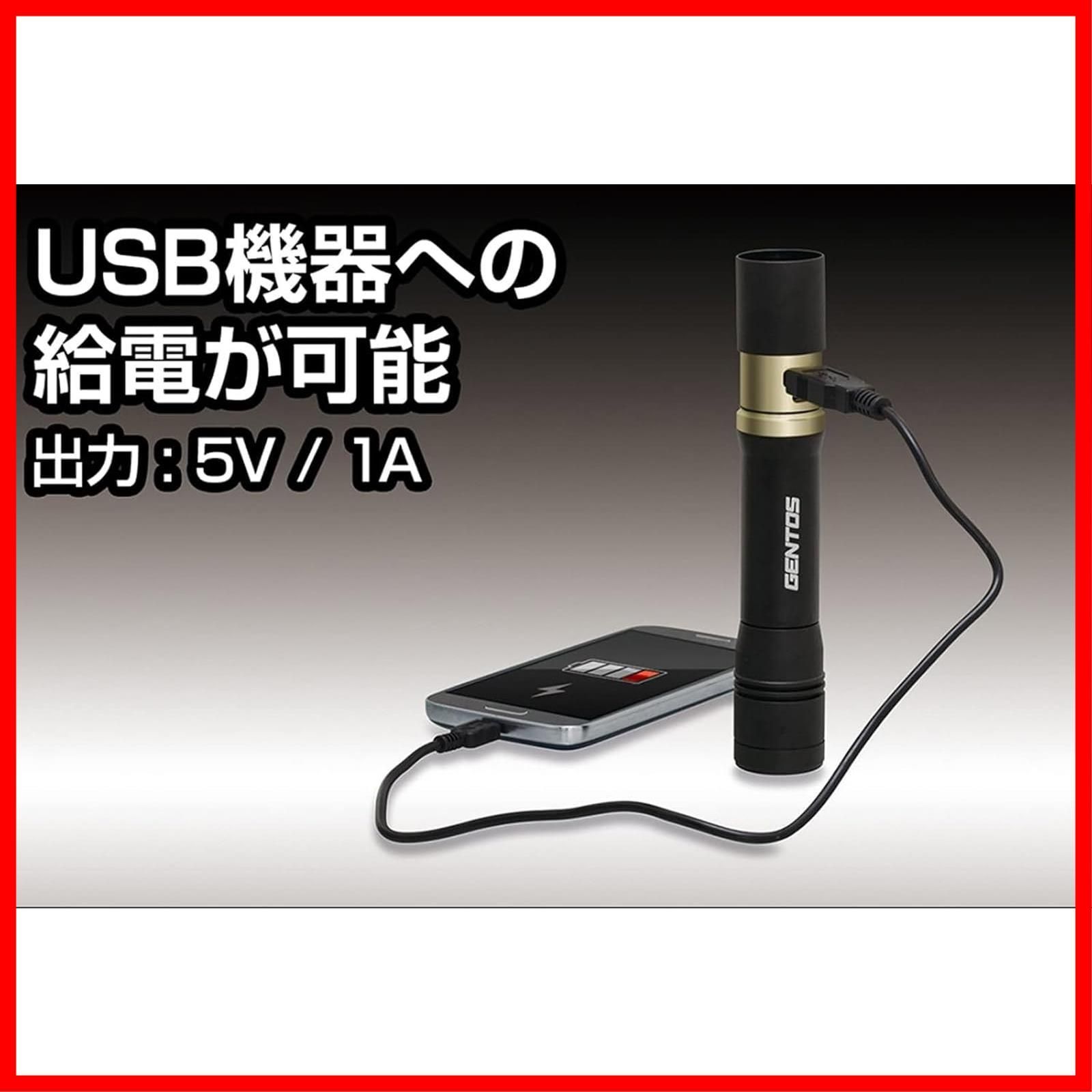 GENTOS ジェントス RX-386R RX-286R 2個セット ジェントス 充電式