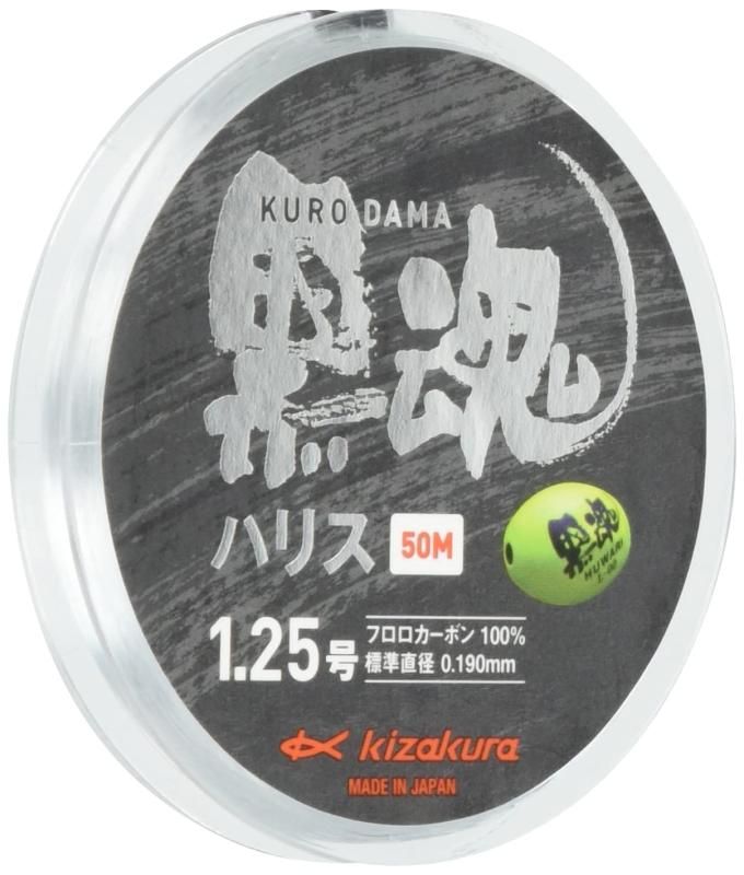 さくら 250505 ICN - 出來日本巡演嘍今天太好看啦像劇照