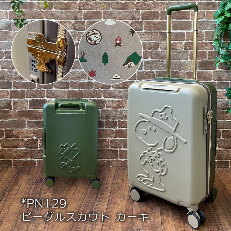 ビーグルスカウト