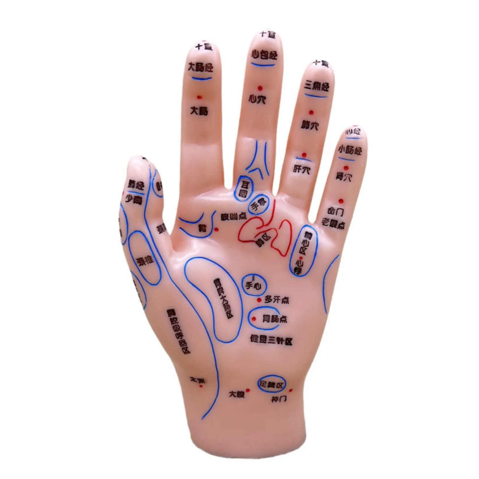 pxU9vQ54x8vAibNHGL9eU.jpg@webp