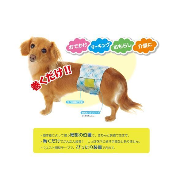 男の子のマナーおむつビッグP小中型犬用38枚