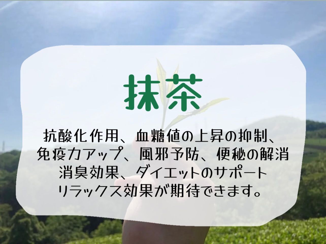 農薬不使用お茶＊ 宇治抹茶×2個セット 化学肥料・除草剤・畜産堆肥不