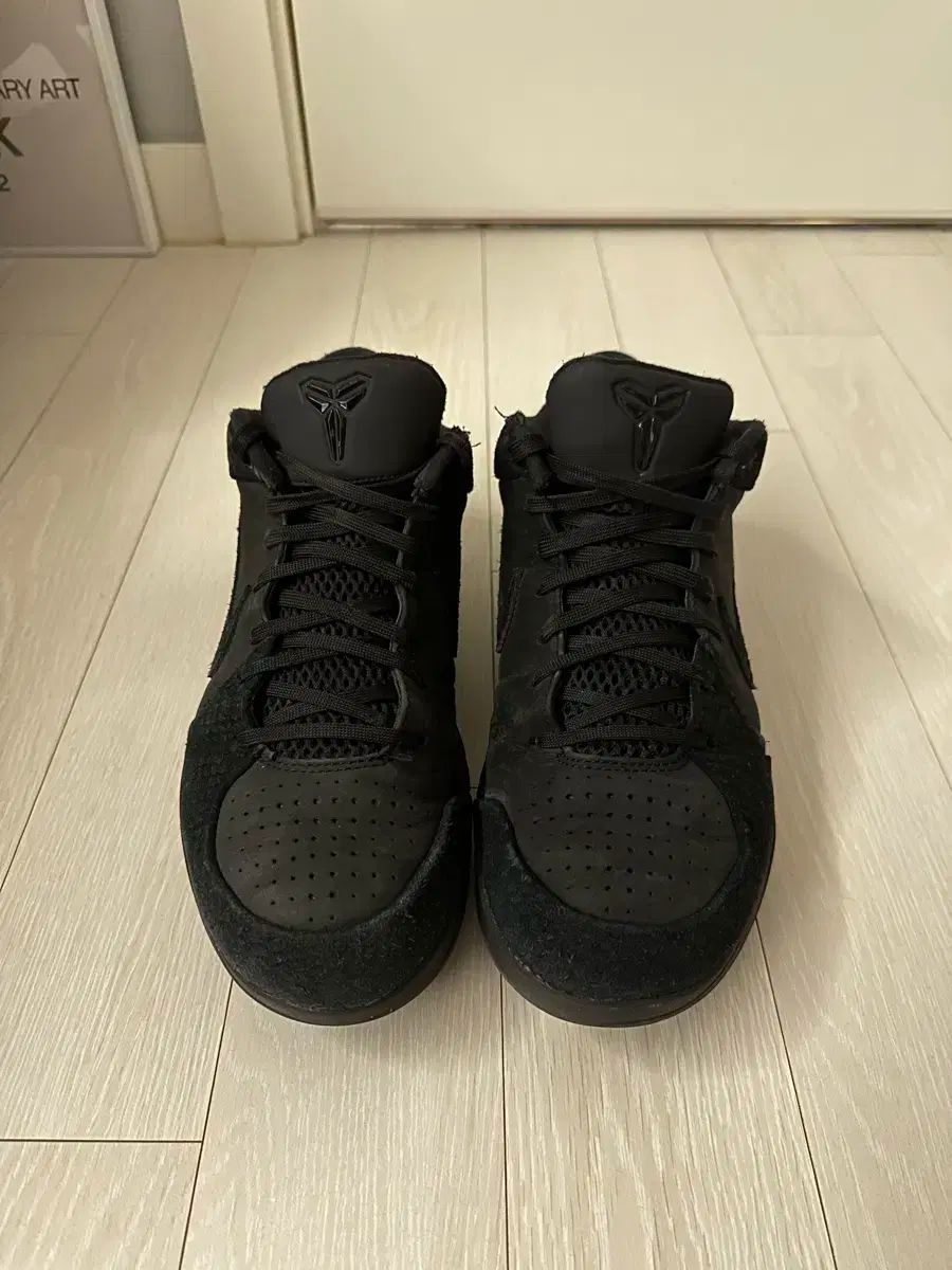 NIKE ナイキ コービー 4 ギフト オブ マンバ 280