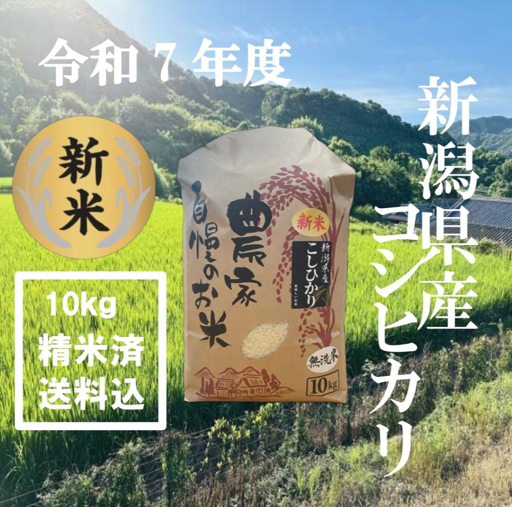 令和7年 新米 新潟県産コシヒカリ 産地直送 100％白米 無洗米 精米済 10ｋｇ