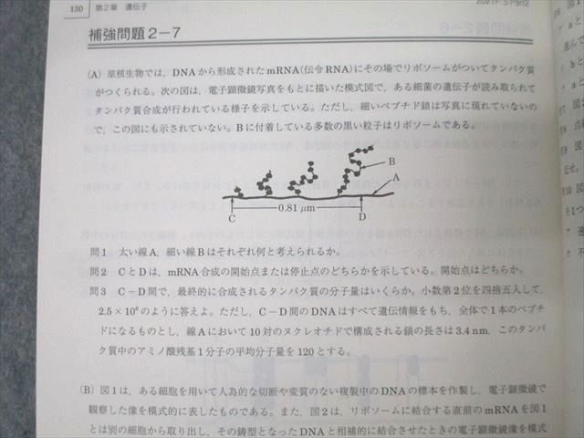 駿台 生物S Part1/2 テキスト通年セット 2021 計4冊 060M0D 駿台 生物S Part1/2 テキスト通年セット 2021 計4冊 sale 040M0D