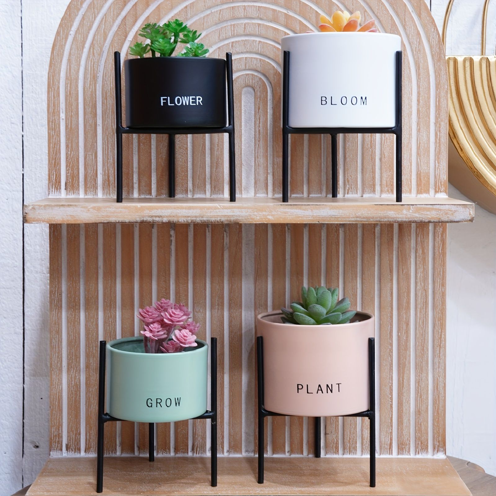 古賀文博 朽る 植木鉢 作家鉢 塊根 浅鉢 大鉢検 rawlifefactory 植木鉢