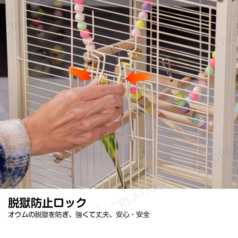 複数飼い 大型
