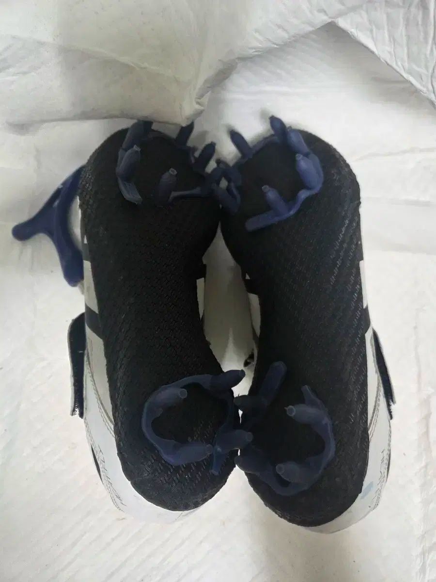 ハイジャンプ 槍投げ