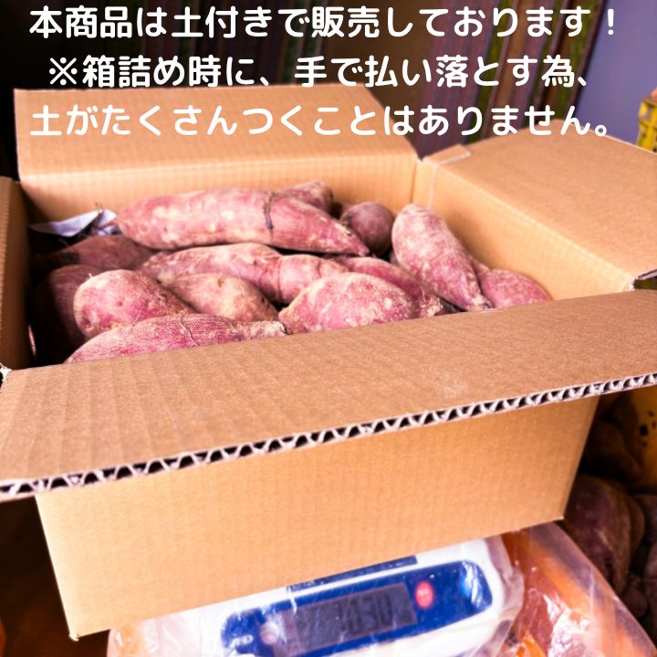のサムネイル