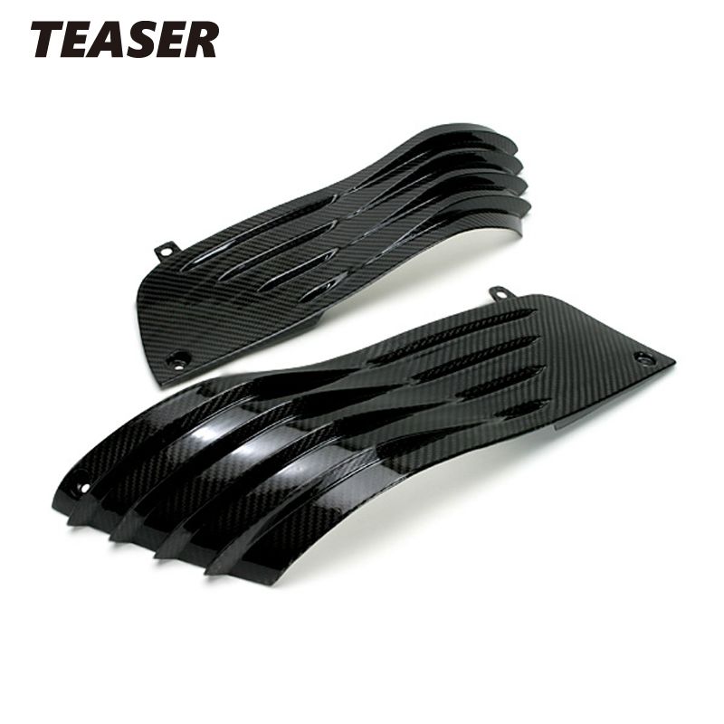 TEASER SPK01G SIDE PANEL [DRY CARBON HG] Kawasaki ZZR1400