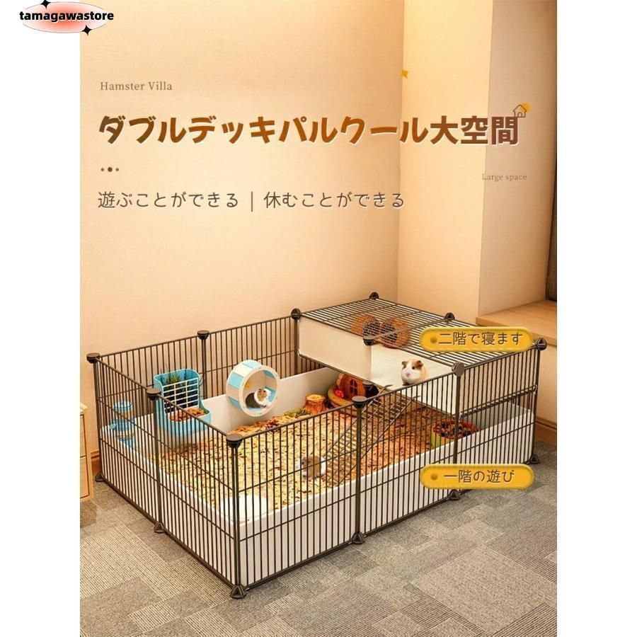 大きい ハリネズミ