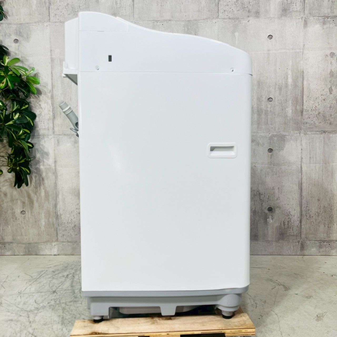 ️SHARP a4164 洗濯機 6.5kg 2025年製 01 ️ WWW_NOITHATQUANGTHANH_NET